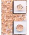 https://tierradeabalorios.com/uploads/productos/fotoarticulo863_1.png