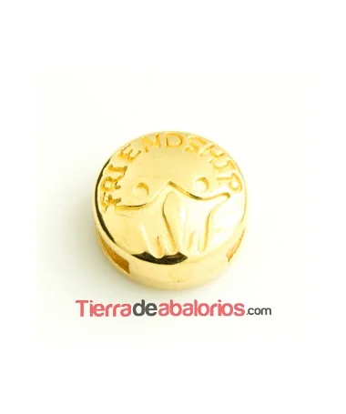 Entrepieza Pasador 13mm Agujero 10x2mm Friendship, Dorado