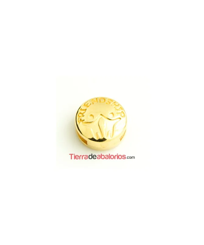 Entrepieza Pasador 13mm Agujero 10x2mm Friendship, Dorado