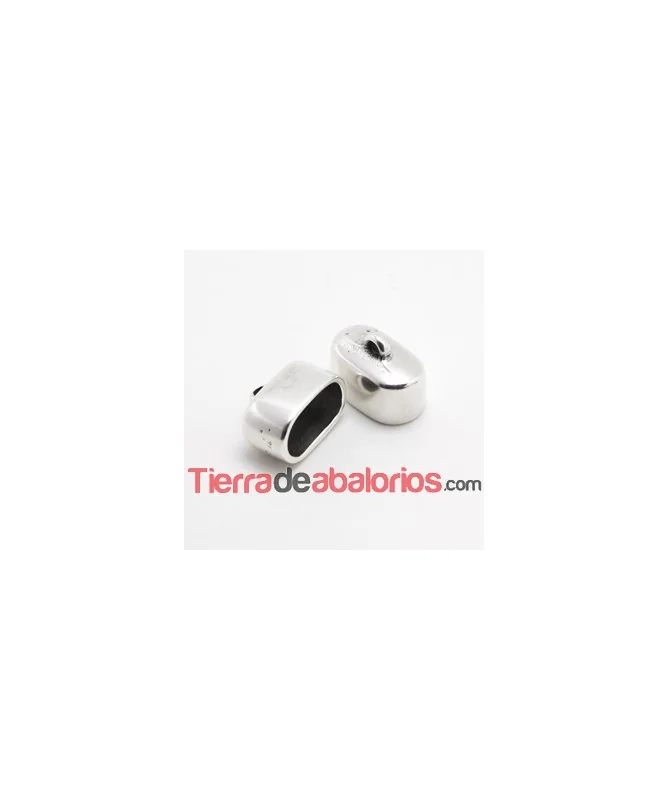 Terminal 23x17mm Agujero 20x10mm, Plateado