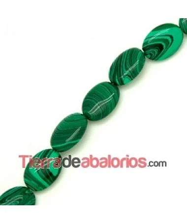 Malaquita Oval 18x14mm (hilo de 22 uds.) Malaquita Oval 18x14mm