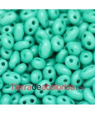 Twin Bead 2,5x5mm Verde Pastel Mate Twin Bead 2,5x5mm Verde Pastel Mate