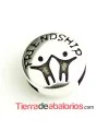 Entrepieza Pasador 13mm Agujero 10x2mm Friendship, Plateado