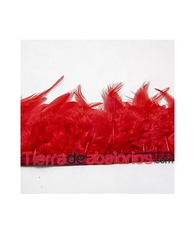 Pluma de Gallo Tintada Tamaño Variado 5 a 12cm Coral