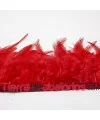 Pluma de Gallo Tintada Tamaño Variado 5 a 12cm Coral
