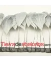 Tira de Plumas de Ganso Gris Perla
