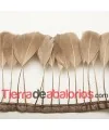 Tira de Plumas de Ganxo Marrón Claro