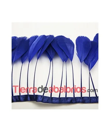 Tira de Plumas de Ganso Azulón (metro) Tira de Plumas de Ganso Azulón
