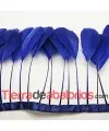 Tira de Plumas de Ganso Azulón