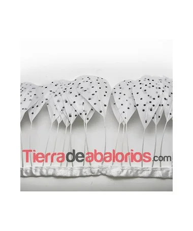 Tira de Plumas de Ganso Blancas con Topos Negros