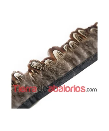 Fleco de Pluma de Avestruz 6cm aprox. Marrón Jaspeado (mt)