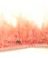Pluma de Gallo Tintada Tamaño Variado 5 a 12cm Rosa Nude