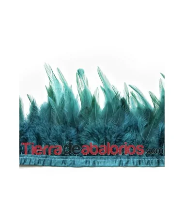 Pluma de Gallo Tintada Tamaño Variado 5 a 12cm Verde