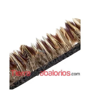Fleco de Pluma de Avestruz 6cm aprox. Marrón Multi (metro)