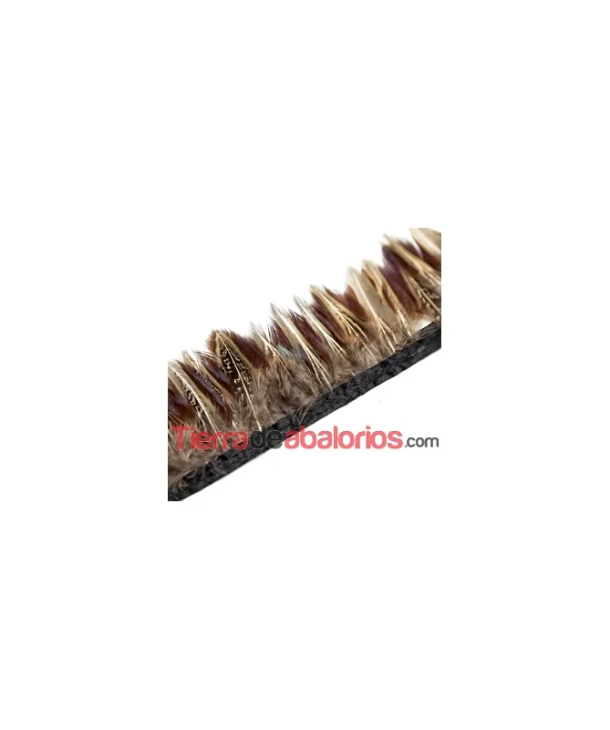 Fleco de Pluma de Avestruz 6cm aprox. Marrón Multi (metro)