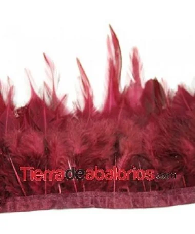 Pluma de Gallo Tintada Tamaño Variado 5 a 12cm Granate (metro) Pluma de Gallo Tintada Tamaño Variado 5 a 12cm Granate