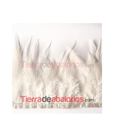 Pluma de Gallo Tintada Tamaño Variado 5 a 12cm Marfil (metro) Pluma de Gallo Tintada Tamaño Variado 5 a 12cm Marfil