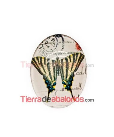 Cabujón Cristal 40*30mm Mariposa Amarilla y Negra