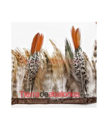 Fleco de Plumas Combinadas (1metro) Fleco de Plumas Combinadas (1metro)
