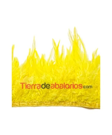 Tira de Plumas de Pavo, Amarillo (metro)