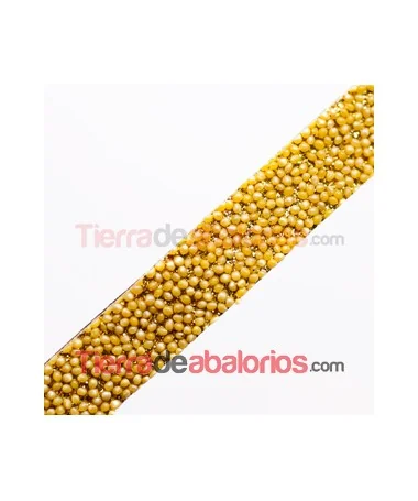 Cuero Plano Vaquetilla 10x2mm, con Caviar Dorado Cuero Plano Vaquetilla 10x2mm, con Caviar Dorado