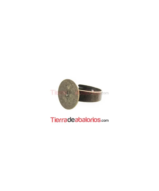 Anillo Ajustable Base Plana Redonda 14mm Oro Viejo