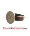 Anillo Ajustable Base Plana Redonda 14mm Oro Viejo