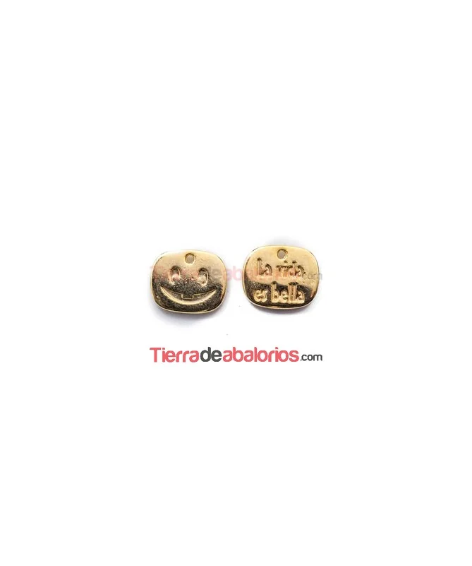 Colgante 15x12mm La Vida es Bella - Dorada