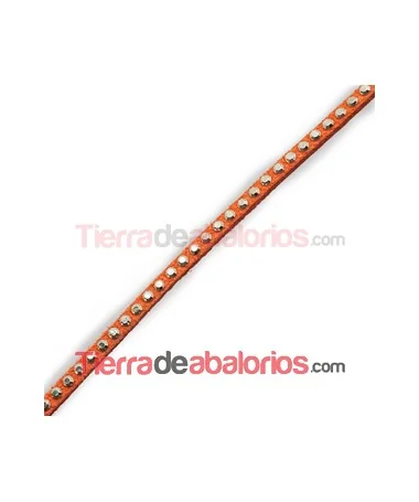 Antelina 3mm Naranja con Tachuelitas Doradas
