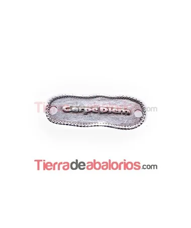 Entrepieza Irregular 33x12mm Carpe Diem, Plateada Entrepieza Irregular 33x12mm Carpe Diem, Plateada