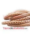 Cordón Nappa 6mm Snake Tostado y Marrón (20cm)