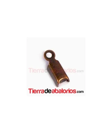Terminal 5x2mm Cobre