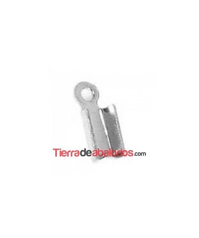 Terminal 5x2mm Plateado