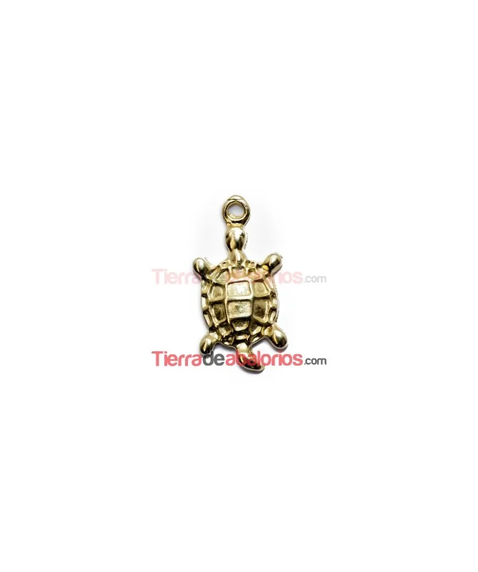 Colgante Tortuga Galápagos 31x10mm, Dorado