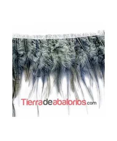Tira de Plumas de Pavo, Gris Claro (metro)