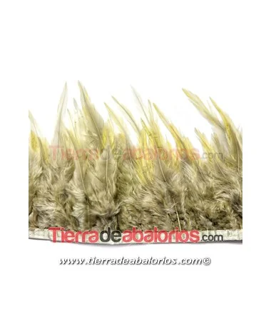 Tira de Plumas de Pavo, Verde Cazador (metro)