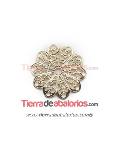 Filigrana Flor 10 Pétalos 19mm, Dorada