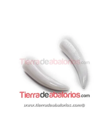 Nacar Colmillo 31mm Nacar Colmillo 31mm
