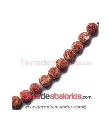 Coral Manzana Esponja 10mm Agujero 1,3mm Coral Manzana Esponja 10mm Agujero 1,3mm