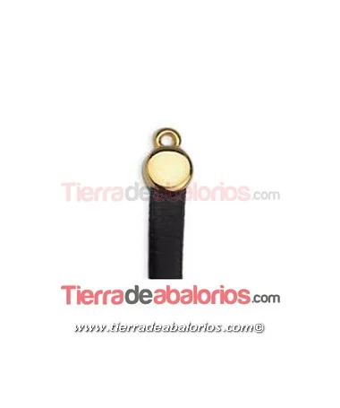 Terminal Circulo 11x7mm, Agujero 5x2mm, Dorado