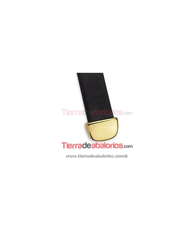 Terminal 8,6x13mm Agujero 10x2mm, Dorado