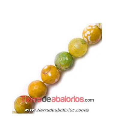 Agata Bandeada Facetada 14mm Agujero 1,4mm Ocre y Blanco