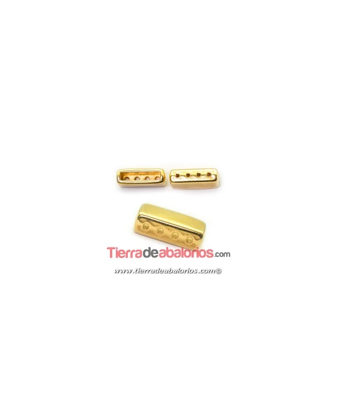 Terminal 4 Agujeros 12x6mm y Terminal 10x2mm, Dorado