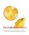 Xirius Chatón Swarovski SS39, Cristal Buttercup