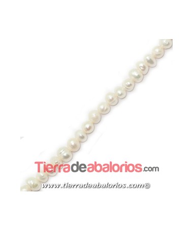 Perla Cultivada Irregular 5x4mm (Hilo de 35/40cm)