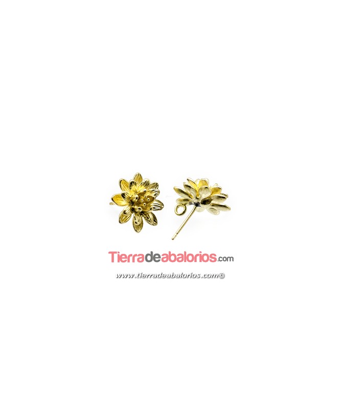 Pendiente Crisantemo 15mm con anilla, Dorado Mate