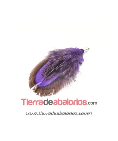 Pluma de Faisán 40mm Púrpura con Terminal Plateado