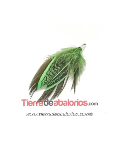 Pluma de Faisán 40mm Verde con Terminal Plateado