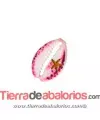 Entrepieza Metacrilato Concha 25x17mm, Blanco y Fucsia