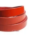 Banda de Cuero 6x2,5mm, Rojo (20cm)